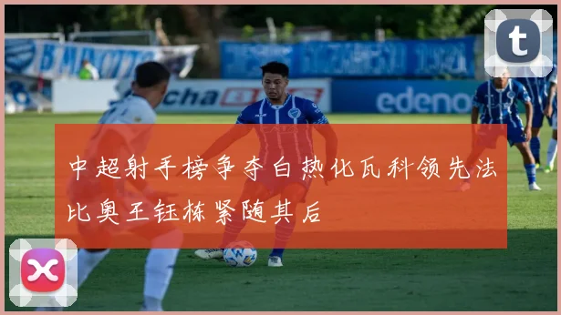 中超射手榜争夺白热化瓦科领先法比奥王钰栋紧随其后