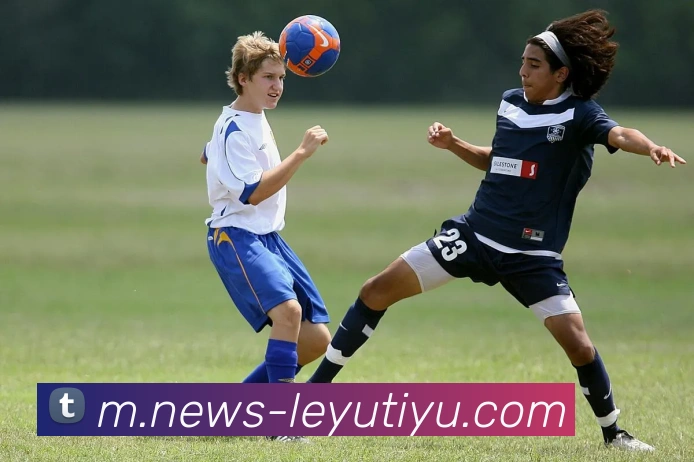 乐鱼体育发展历程